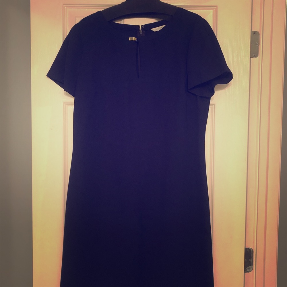 Banana Republic Dress